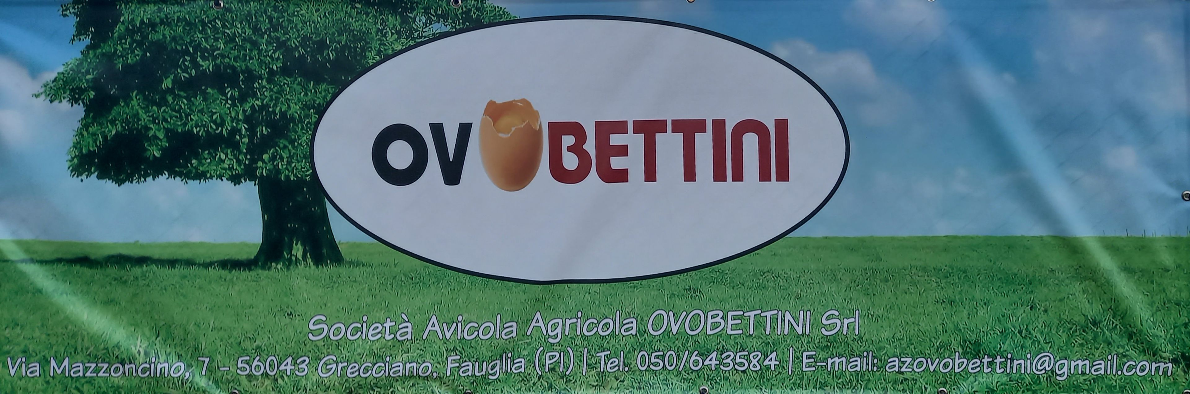 OVOBETTINI Srl