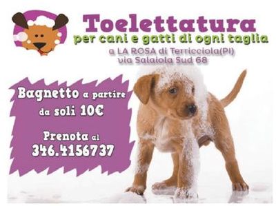 TOELETTATURA cani e gatti